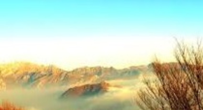 团队星图鉴 - 大象传媒官网 - 幕后创意明星团队介绍专区